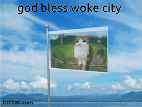 A Flag With A Picture Of A Cat On It And The Words God Bless Woke City GIF