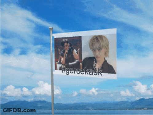 A Flag With A Picture Of A Girl And The Words #Gereekask GIF