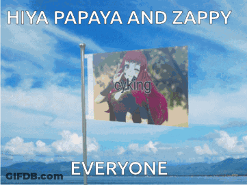 A Flag With A Picture Of A Girl On It And The Words Hiya Papaya And Zappy Everyone GIF