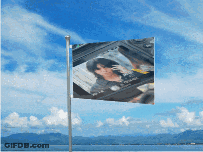 A Flag With A Picture Of A Woman On It That Says Sony On It GIF