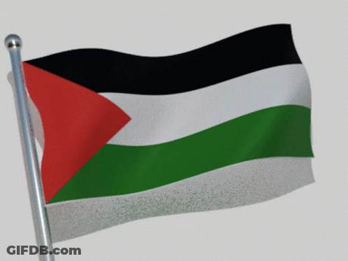 A Flag With A Red White And Green Triangle On It GIF