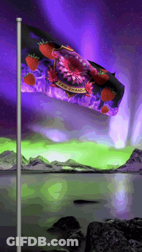 A Flag With Strawberries On It And The Words Team Chandu GIF