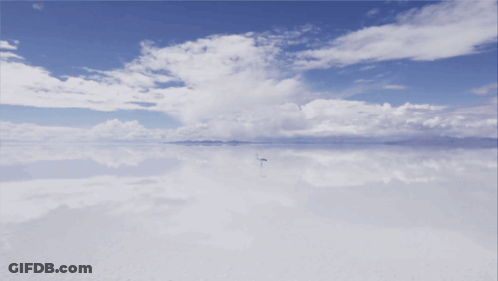 A Flamingo Is Standing In The Middle Of A Large Body Of Water GIF