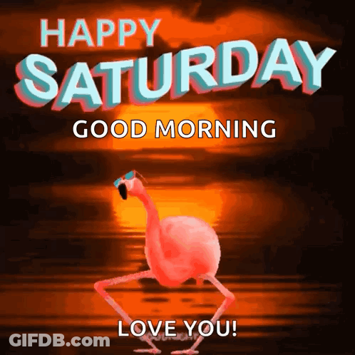 A Flamingo Wearing Sunglasses Is Walking In Front Of A Sunset And Says Happy Saturday Good Morning Love You GIF