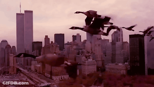 A Flock Of Geese Flying Over A City Skyline With The Twin Towers In The Background GIF