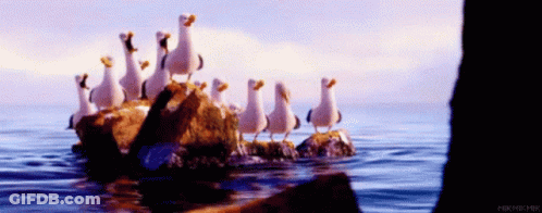 A Flock Of Seagulls Are Standing On Rocks In The Ocean GIF