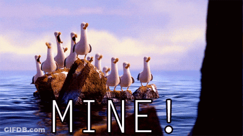 A Flock Of Seagulls Standing On Rocks In The Ocean With The Word Mine Written Below Them GIF