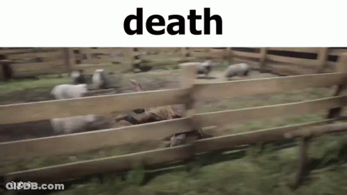 A Flock Of Sheep Are Running Through A Wooden Fence In A Field . GIF