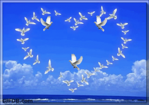 A Flock Of White Birds Flying In The Shape Of A Heart On A Blue Sky GIF
