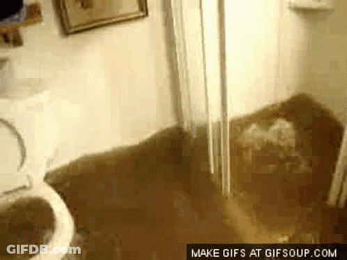 A Flooded Bathroom With A Toilet And Sink And A Make GIFs At Gifsoup.com Watermark GIF