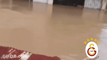 A Flooded Room With Wilson Written In Black Letters GIF