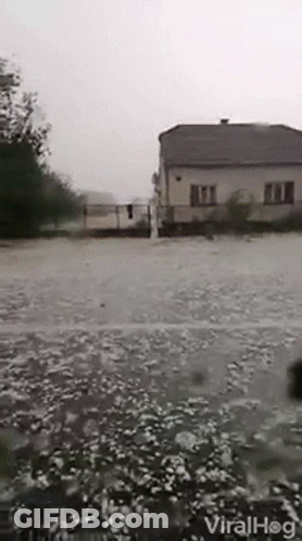 A Flooded Yard With A House In The Background And The Words Viralhog On The Bottom Right GIF