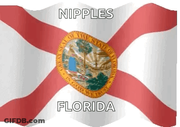A Florida Flag With The Words Nipples Florida On It GIF
