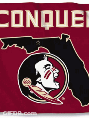 A Florida State Flag With The Word Conquer On The Top GIF