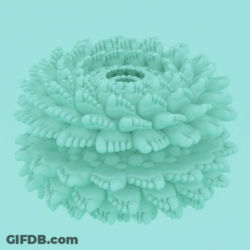 A Flower Made Out Of Feet On A Blue Surface GIF