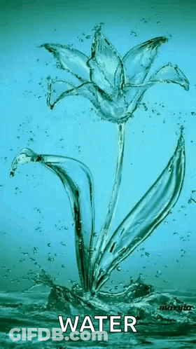 A Flower Made Out Of Water Is Splashing Out Of The Water . GIF
