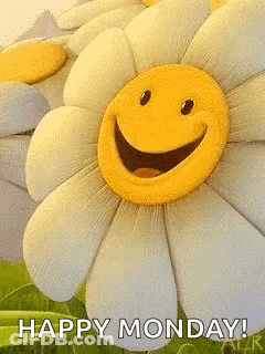 A Flower With A Smiley Face On It And The Words `` Happy Monday '' Written Below It . GIF