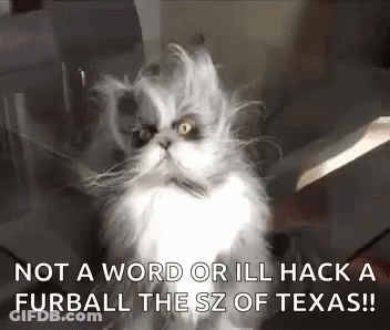 A Fluffy Cat Is Sitting On A Glass Table With A Knife In Its Mouth And A Quote . GIF