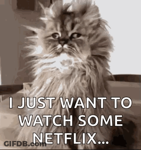 A Fluffy Cat Is Sitting On A Table And Says `` I Just Want To Watch Some Netflix '' . GIF