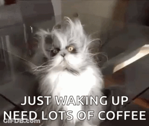 A Fluffy Cat Is Sitting On A Table With The Words `` Just Waking Up Need Lots Of Coffee '' Written Below It . GIF