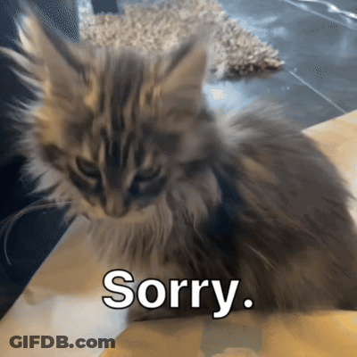 Fluffy Cat Sitting With Sorry Text Below GIF