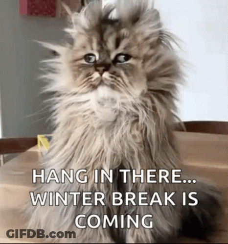 A Fluffy Cat Is Sitting On A Wooden Table . GIF