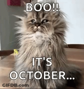 A Fluffy Cat Is Sitting On A Wooden Table And Says Boo ! It 'S October . GIF