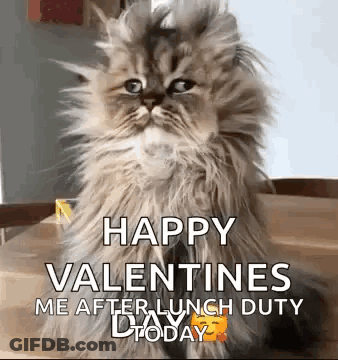 A Fluffy Cat Is Sitting On A Wooden Table With A Happy Valentine 'S Day Message . GIF