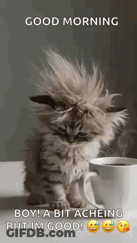 A Fluffy Kitten Is Sitting Next To A Cup Of Coffee On A Table . GIF