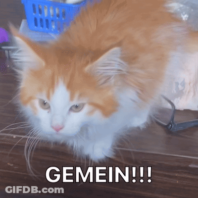 A Fluffy Orange And White Cat Laying On A Wooden Floor With The Word Gemein Written Below It GIF