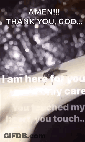 A Fly Is Crawling On A Person 'S Arm With The Words `` Amen !!! Thank You , God .. '' GIF