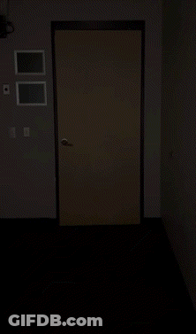 A Flyers Mascot Is Standing In A Doorway GIF