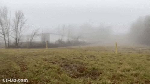 A Foggy Field With Trees And A Building In The Background GIF