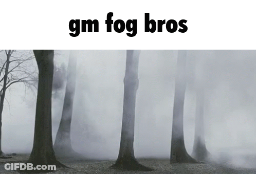 A Foggy Forest With The Words " Gm Fog Bros " At The Top GIF