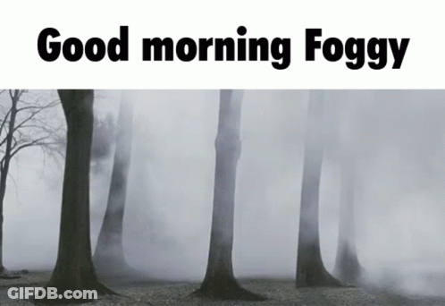 A Foggy Forest With The Words " Good Morning Foggy " Below It GIF