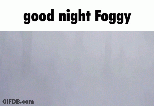 A Foggy Forest With The Words " Good Night Foggy " Below It GIF