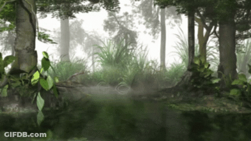 A Foggy Forest With Trees And Plants And A Pond GIF