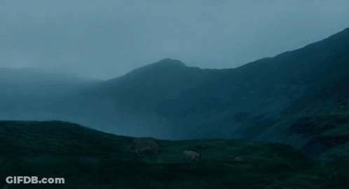 A Foggy Mountain Landscape With A Few Sheep Standing In The Foreground GIF