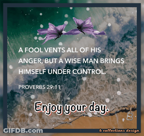 A Fool Vents All Of His Anger But A Wise Man Brings Himself Under Control Proverbs 29:11 Enjoy Your Day GIF