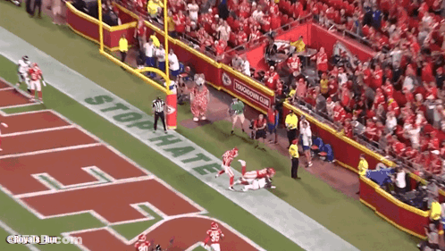 A Football Field With The Word Stop Hate On It GIF