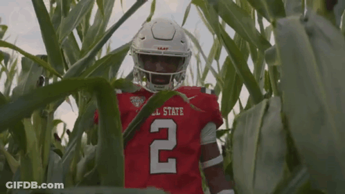 A Football Player For Ball State Is Standing In A Field Of Tall Grass GIF