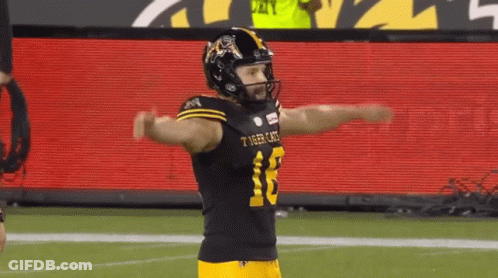 A Football Player For The Tigers Is Standing On The Field GIF
