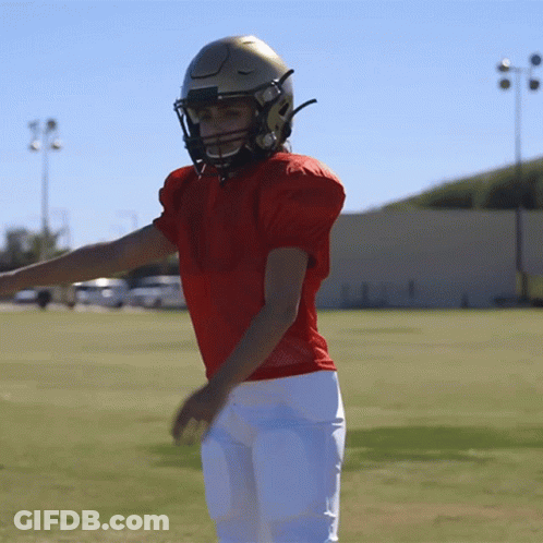 A Football Player Wearing A Red Jersey And A Gold Helmet Stands On A Field GIF