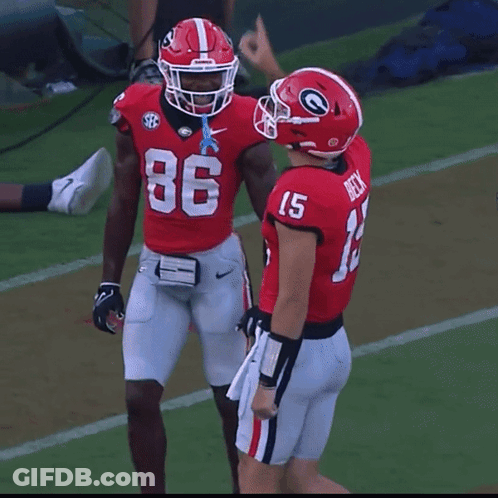 A Football Player Wearing A Red Jersey With The Number 15 On It GIF