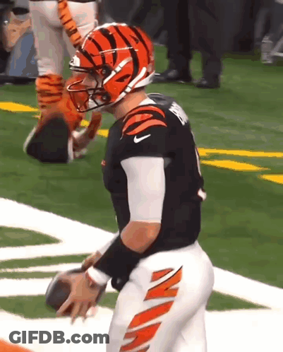 A Football Player Wearing A Tigers Helmet Is Holding A Football On The Field . GIF