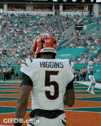 A Football Player With The Name Higgins On His Back GIF
