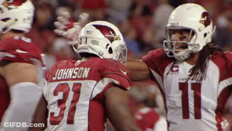 A Football Player With The Name Johnson On His Back GIF
