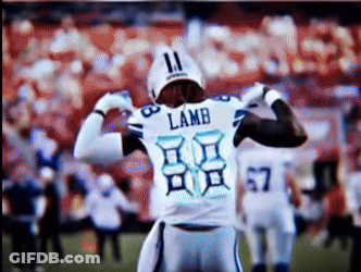 A Football Player With The Name Lamb On Their Jersey GIF