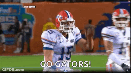 A Football Player With The Number 15 On His Jersey Is On A Field . GIF