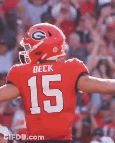 A Football Player With The Number 15 On His Jersey Is Standing On The Field . GIF